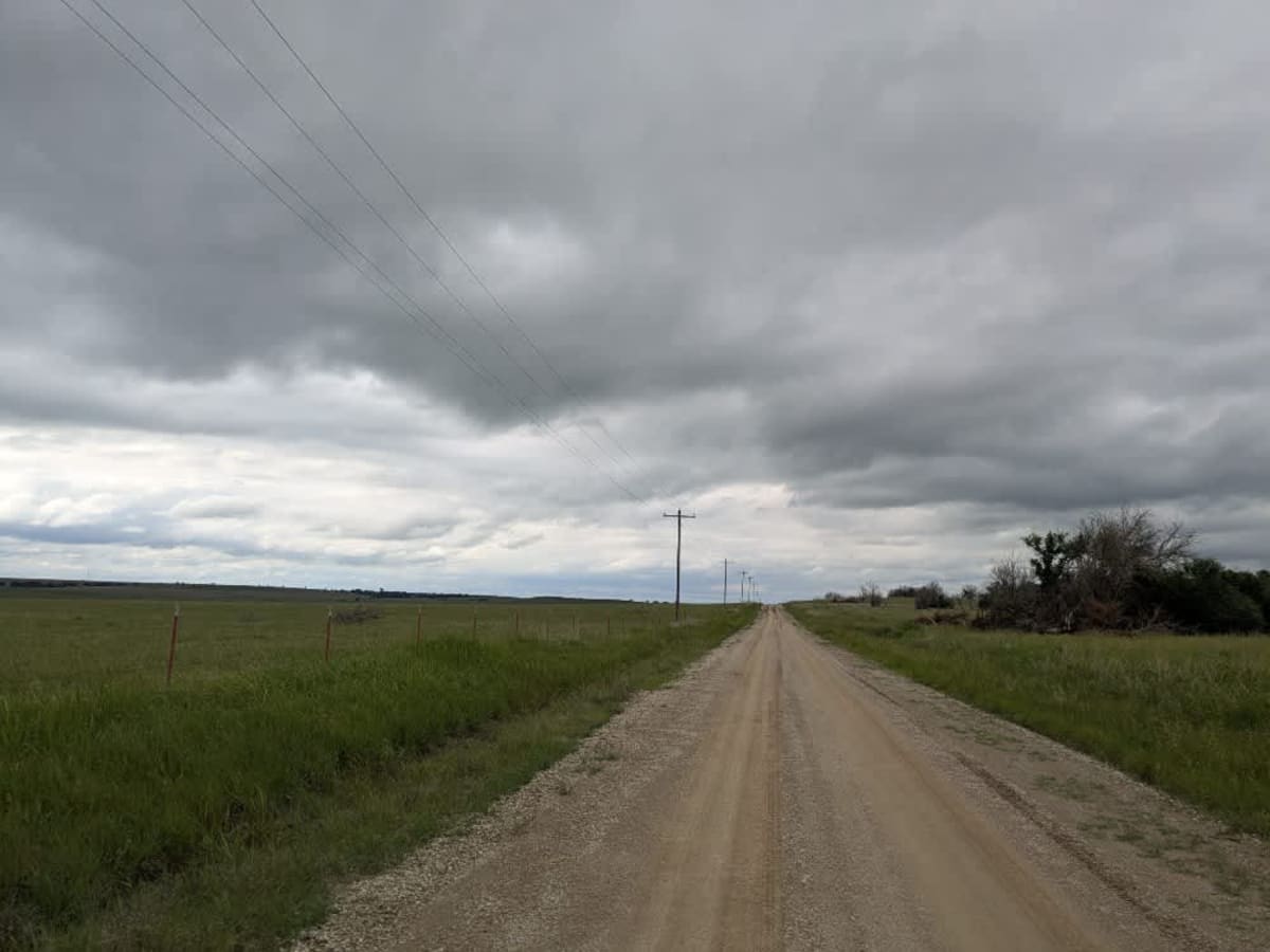 Gallop Road photo 3