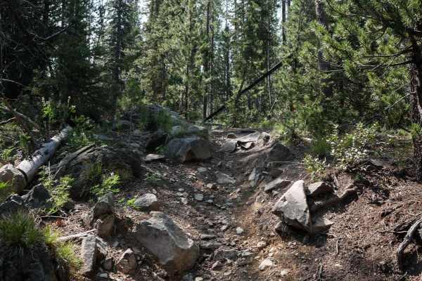 Buster Lake ATV