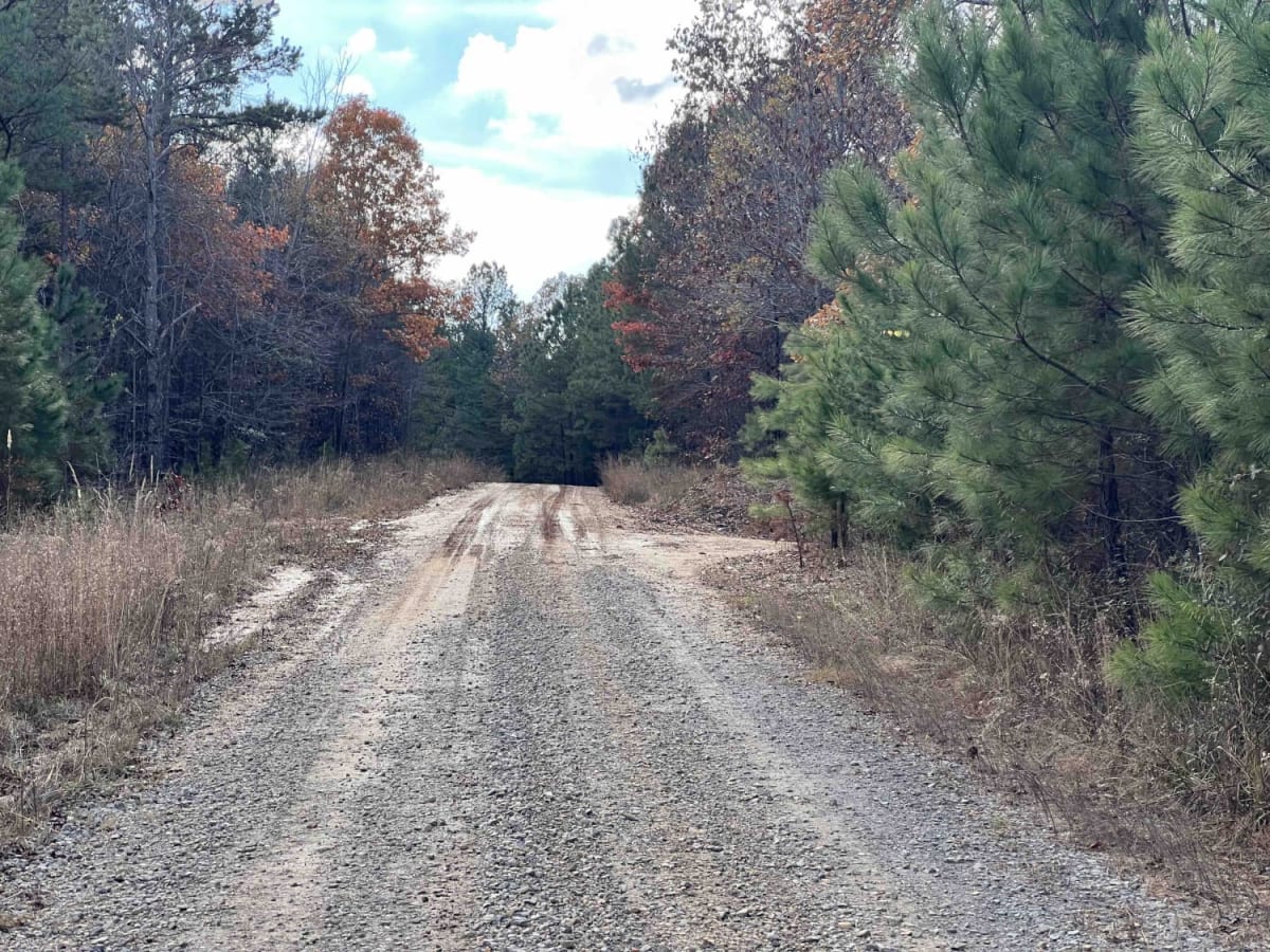 CR339 photo 4