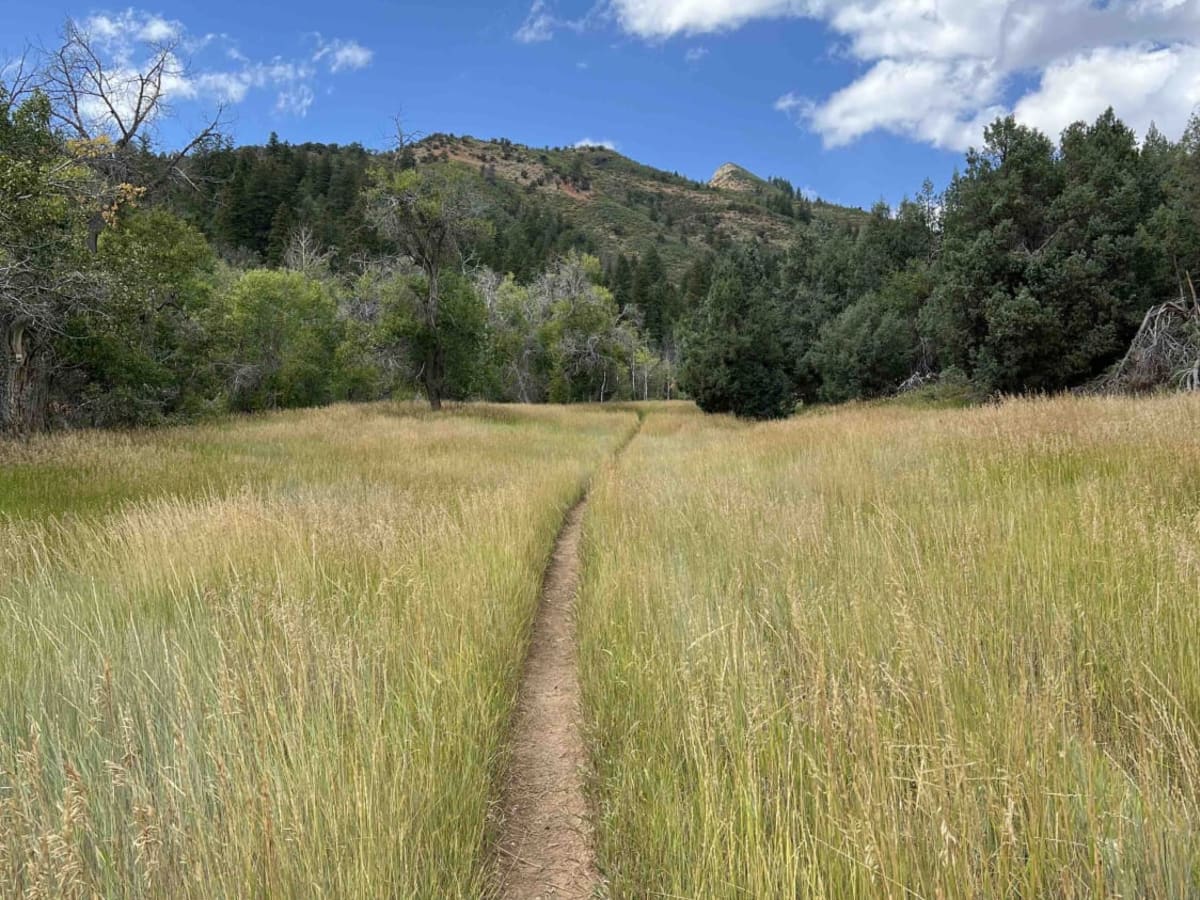 Mapleton-Sawmill Hollow (8013) photo 2
