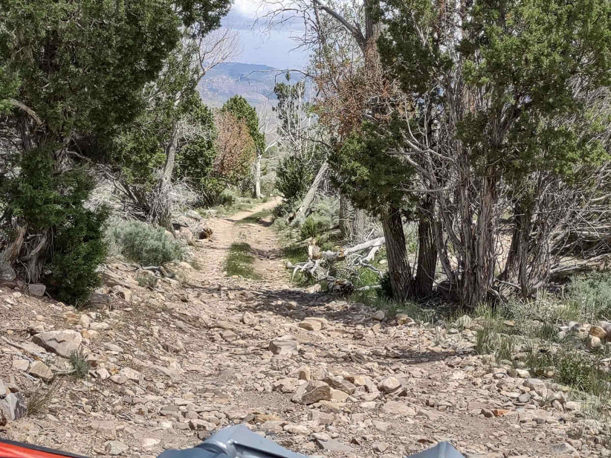 Cottonwood-Bullion Interconnect Trail to Hwy 89 photo 6