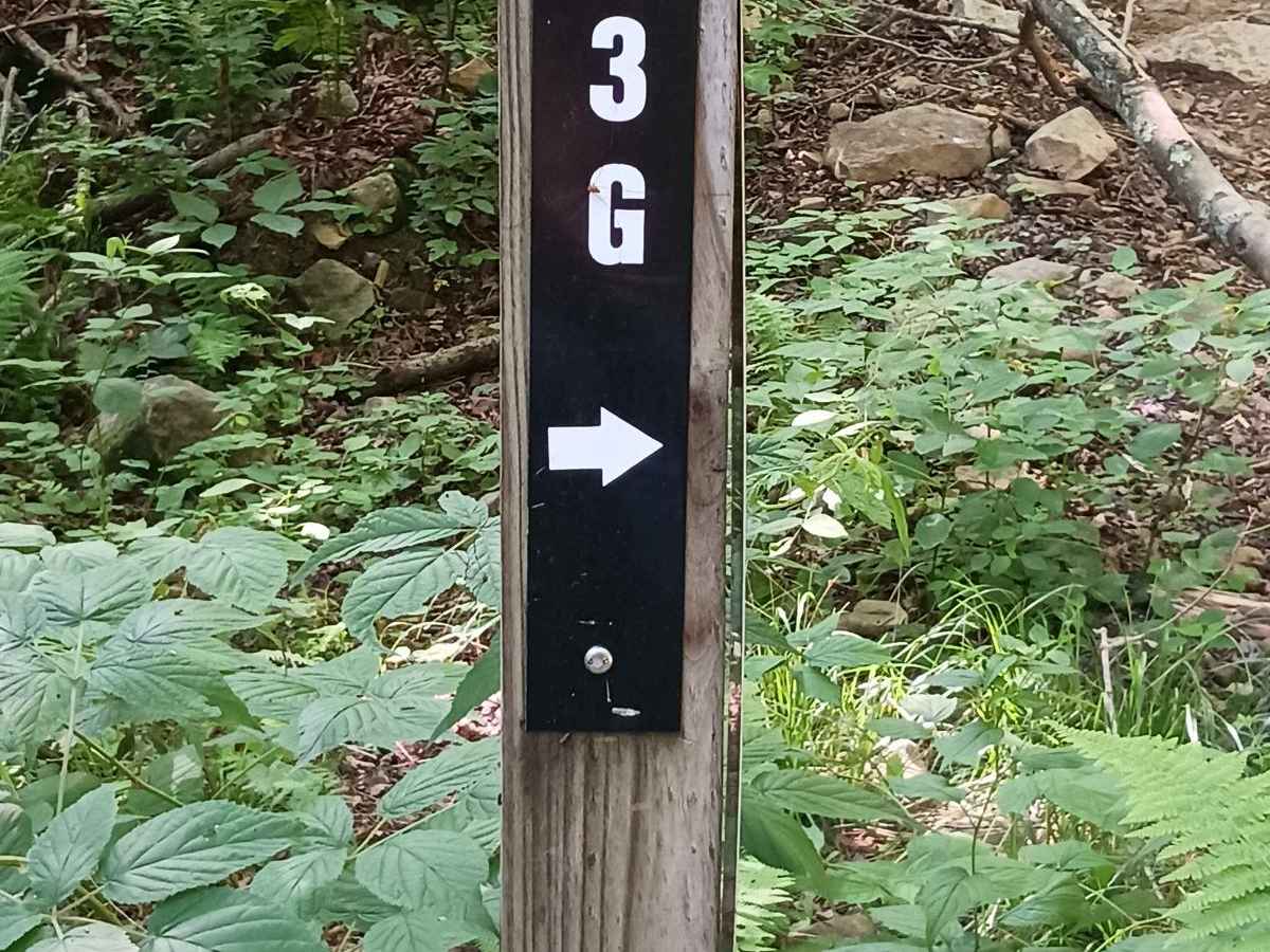 Trail 13G - Rock Run Recreation Area trail photo