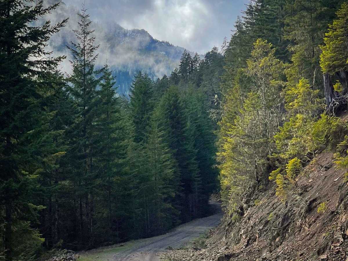 Tunnel Creek Trail photo 5