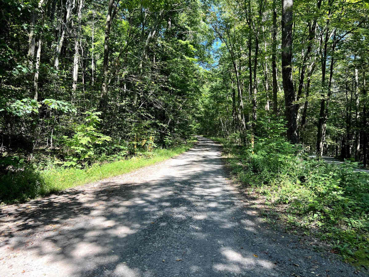 McIntyre Road trail photo