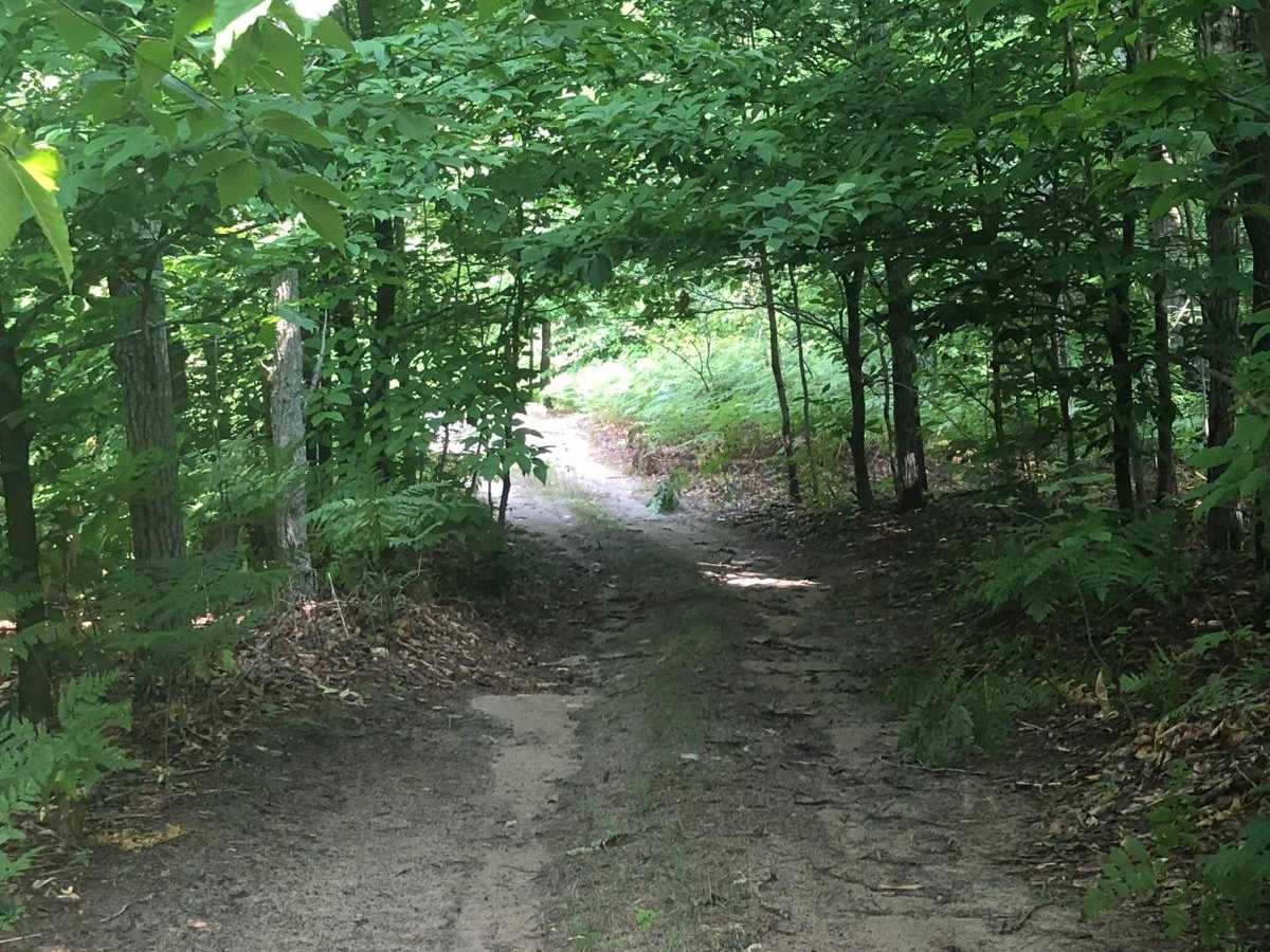 Betsie Valley Spur photo 2