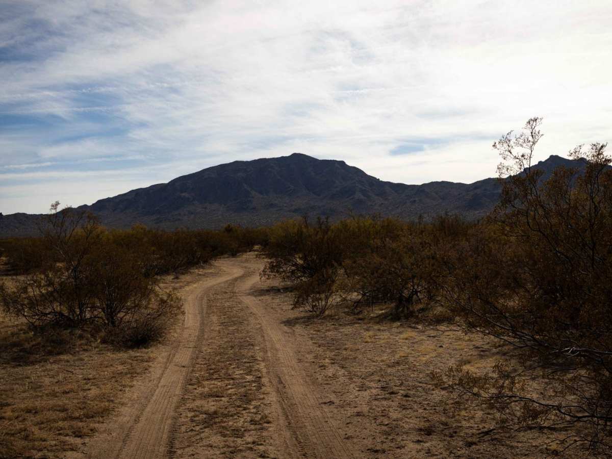 Hidden Camp photo 6