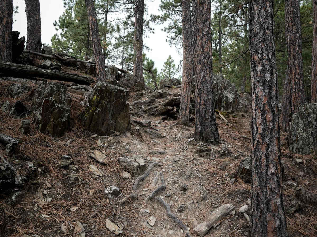 Bogus 6325 trail photo