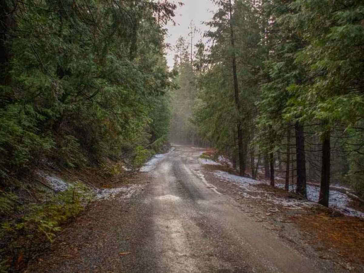 Elliot Ranch Road trail photo