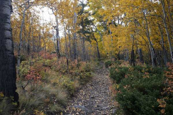 Left Hand ATV Trail