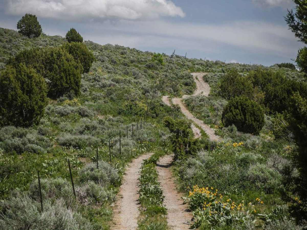 Trail Hollow to Maple Hollow trail photo