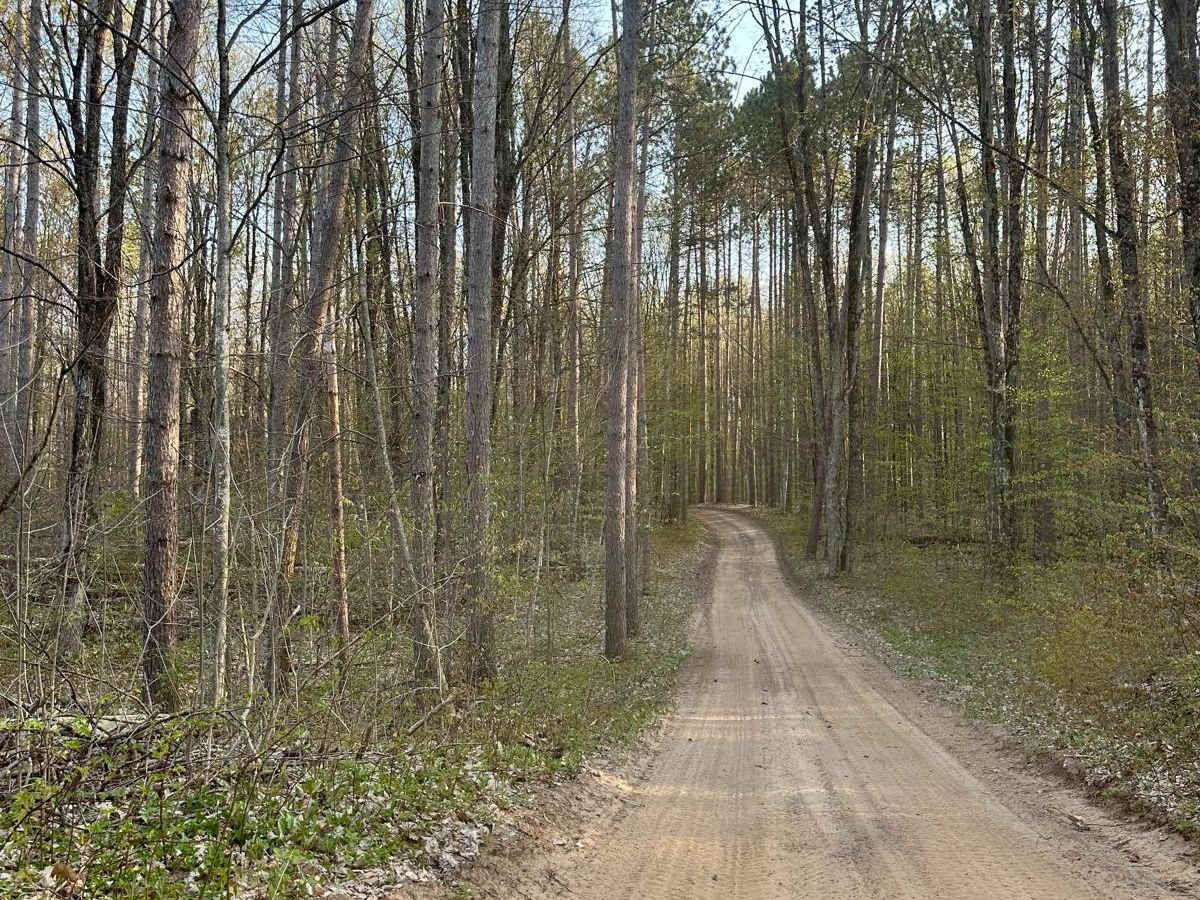 Cadillac Area ORV/OHV Scenic Ride - Part 2 photo 2