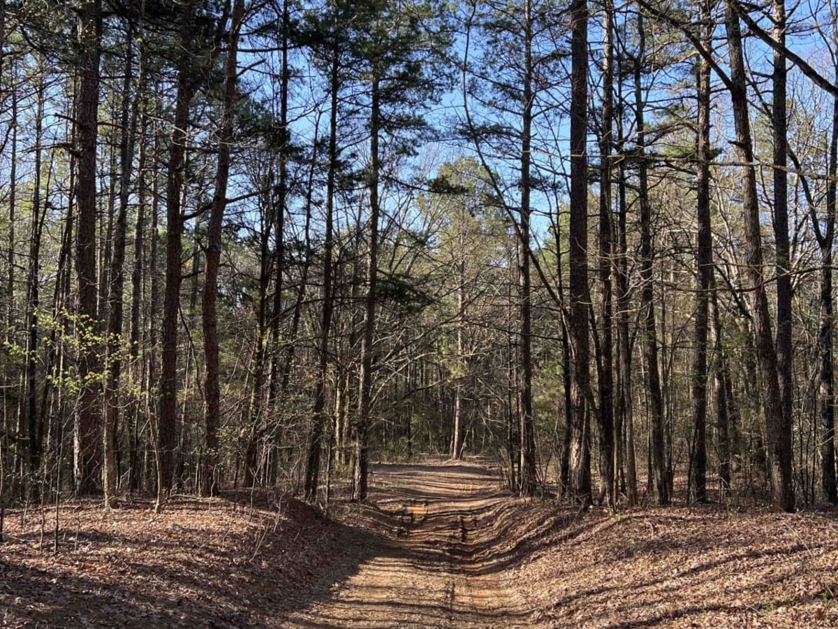 Wilderness Trail trail photo