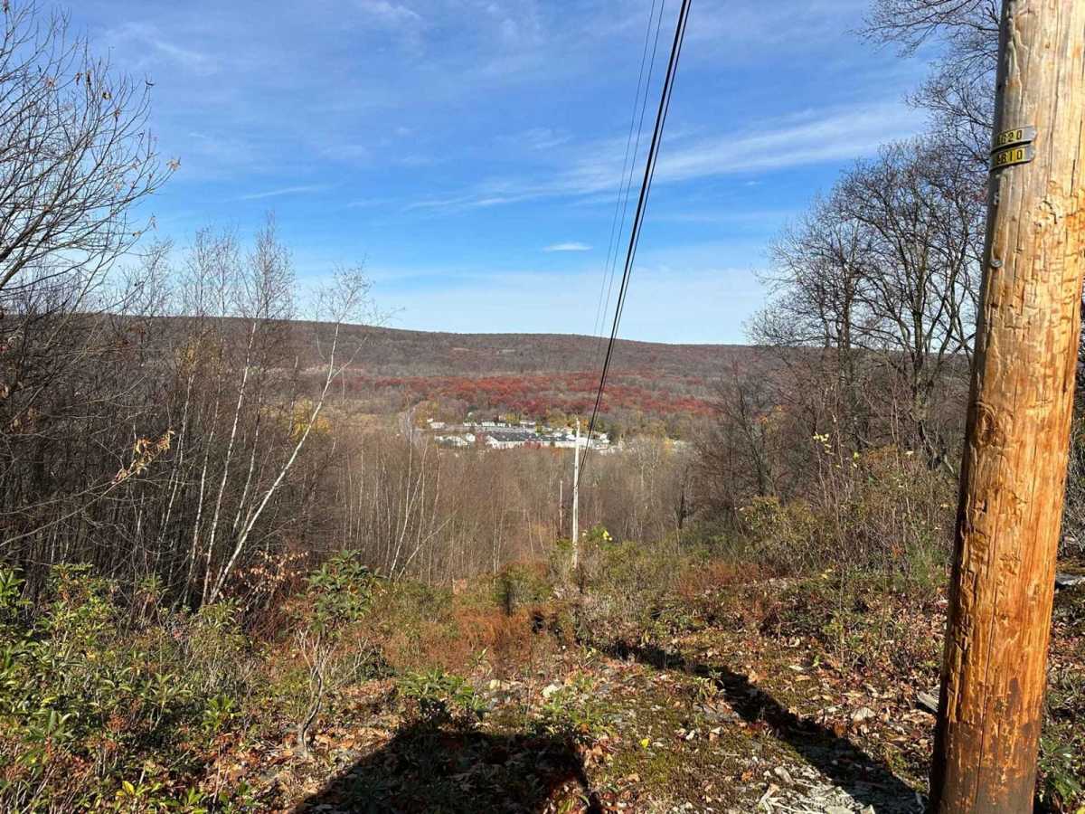 Ashland 169 photo 2