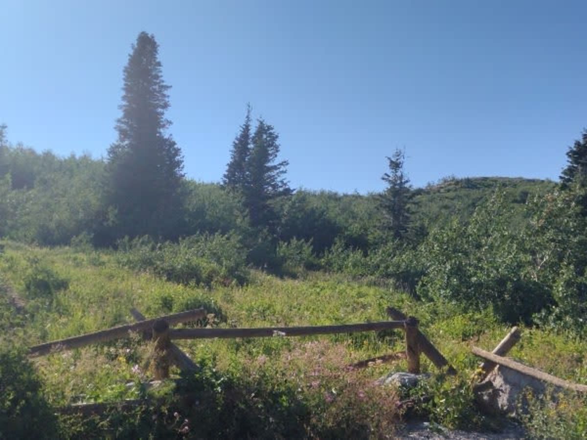 Sessions Mountain Road trail photo