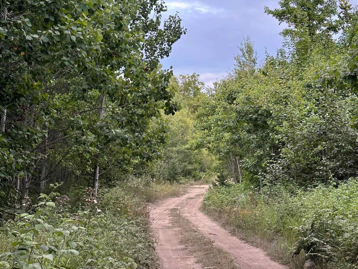 ORV Bypass - 492 photo 3