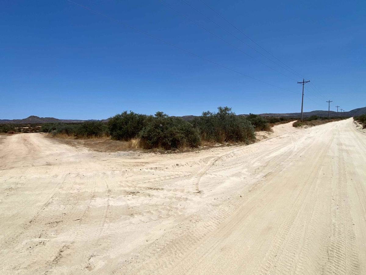 Lasso Loop photo 3