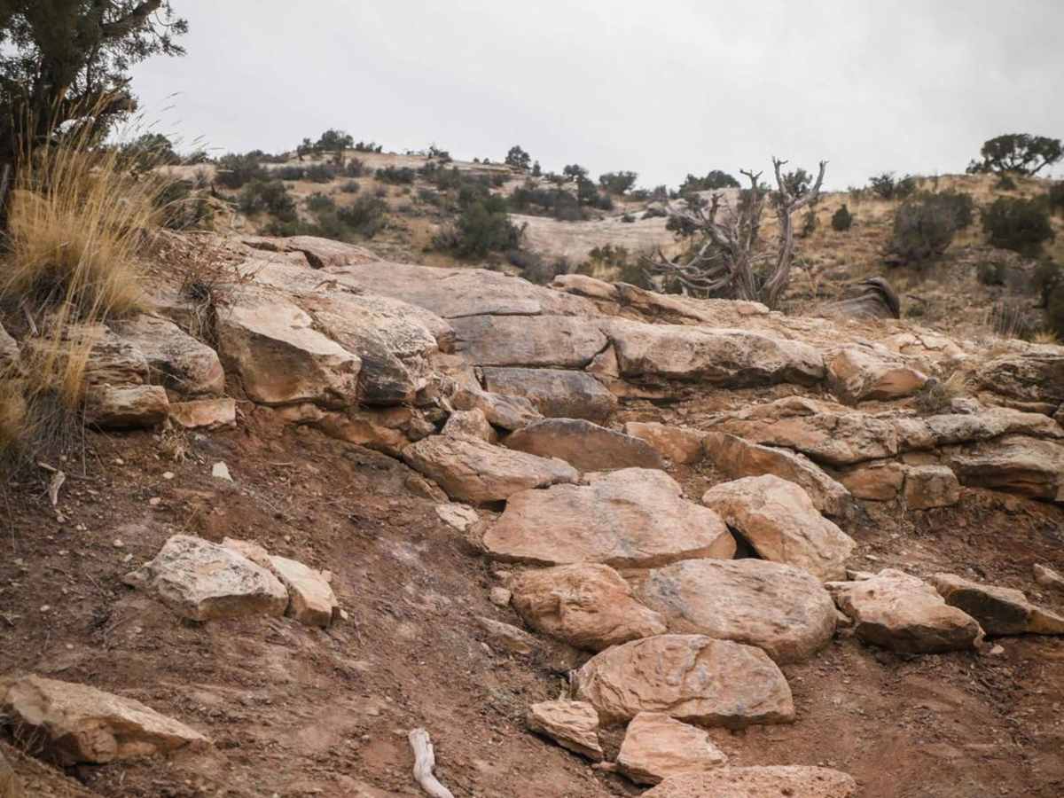 Trail 3 photo 5