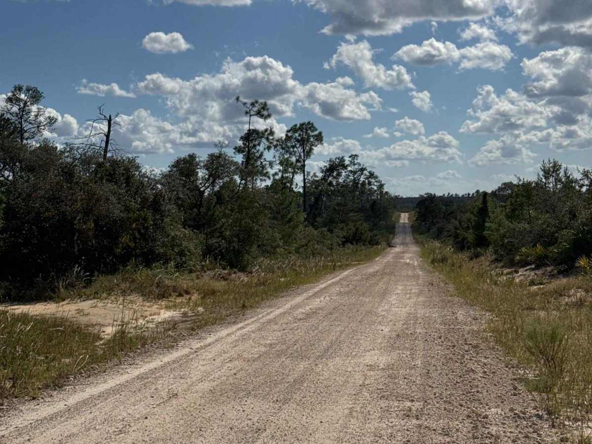 John T. Childers Road - ONF 53 photo 5