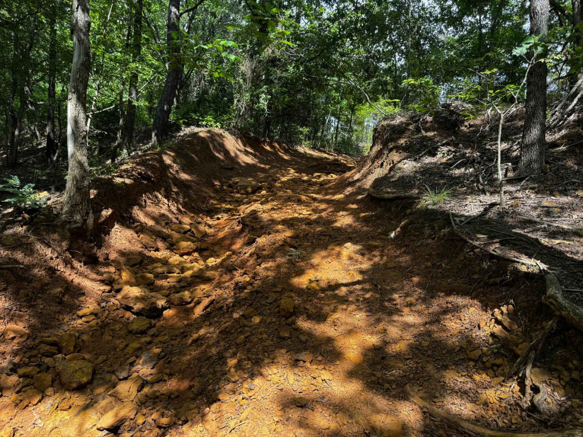 Jeepy Hollow photo 2