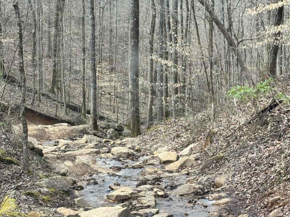 Bootleg Creek photo 5