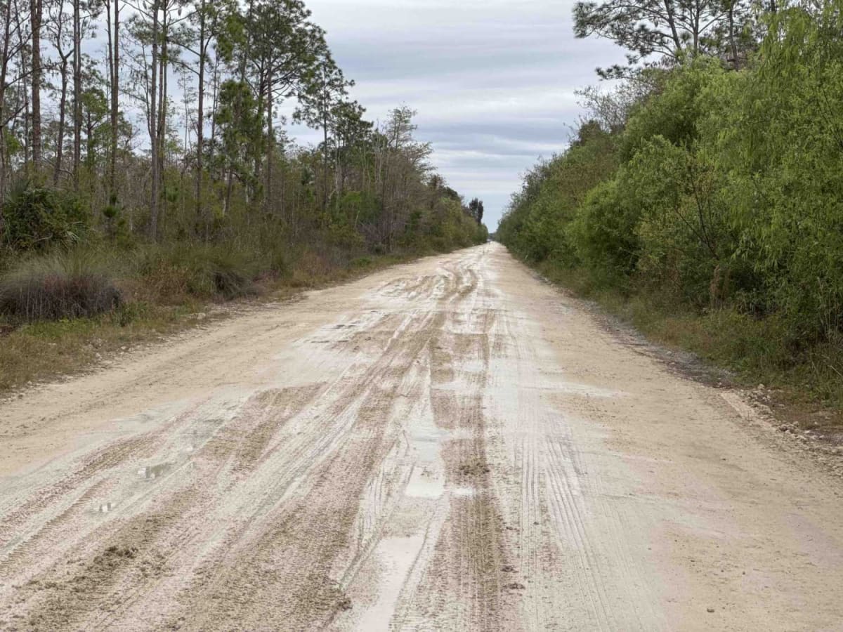 West Sabal Palm Road trail photo