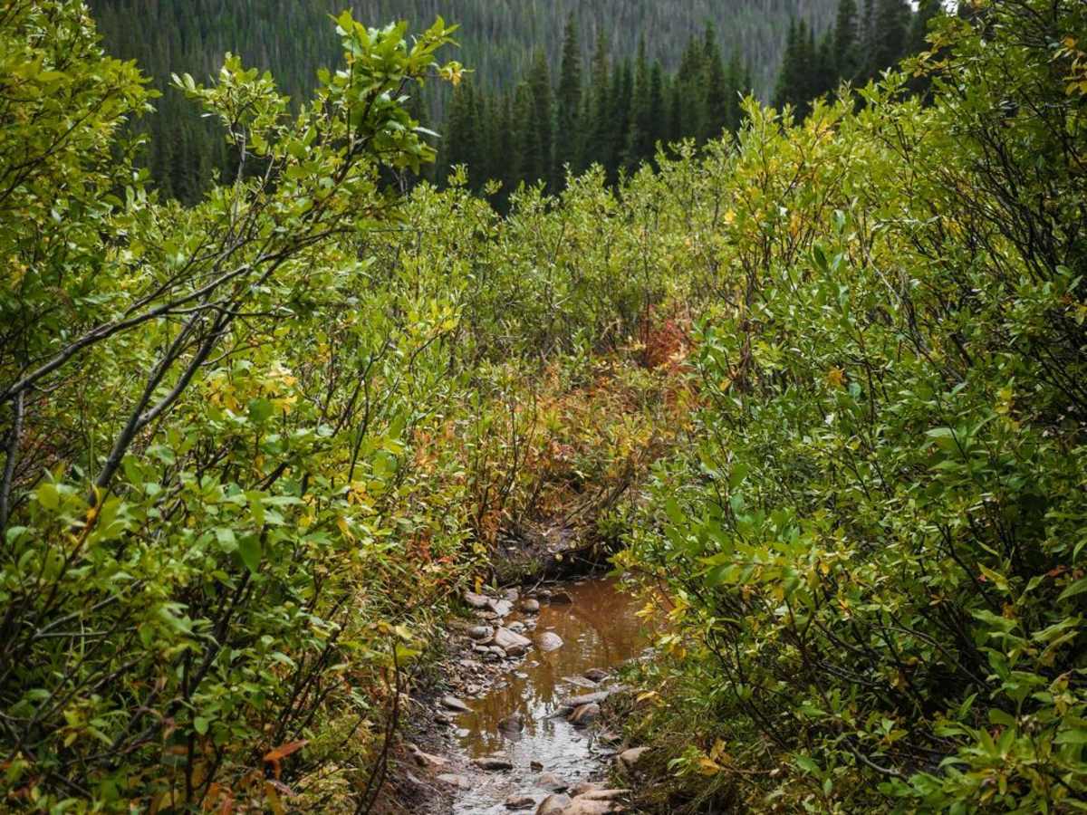 Brush Creek - Trail 400 photo 6