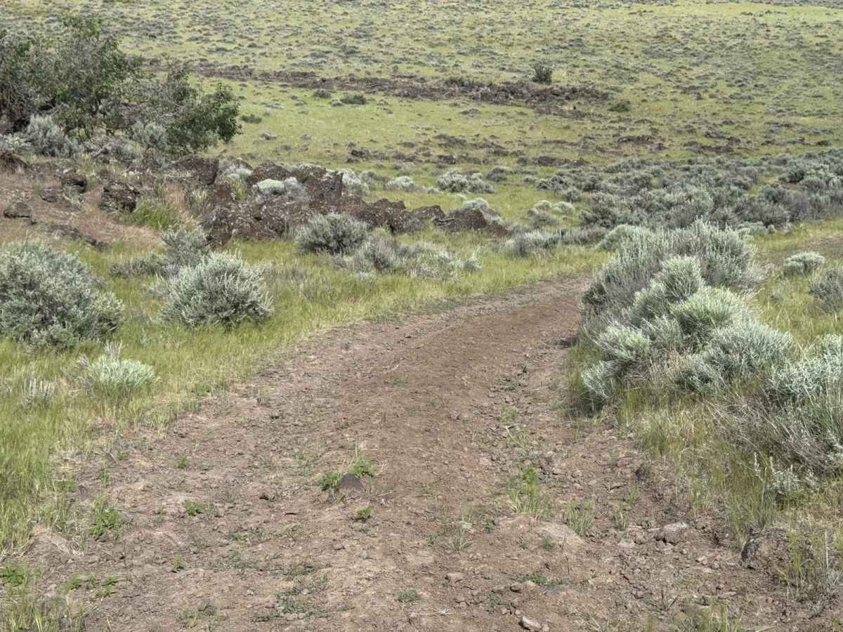 Canyon View Corkscrew photo 6