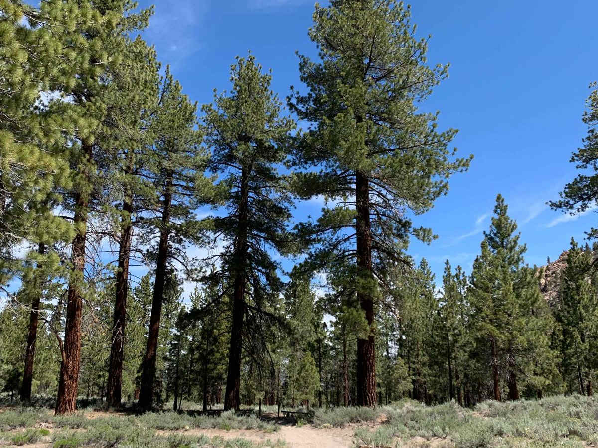 Gilbert Ridge (28E213) photo 6