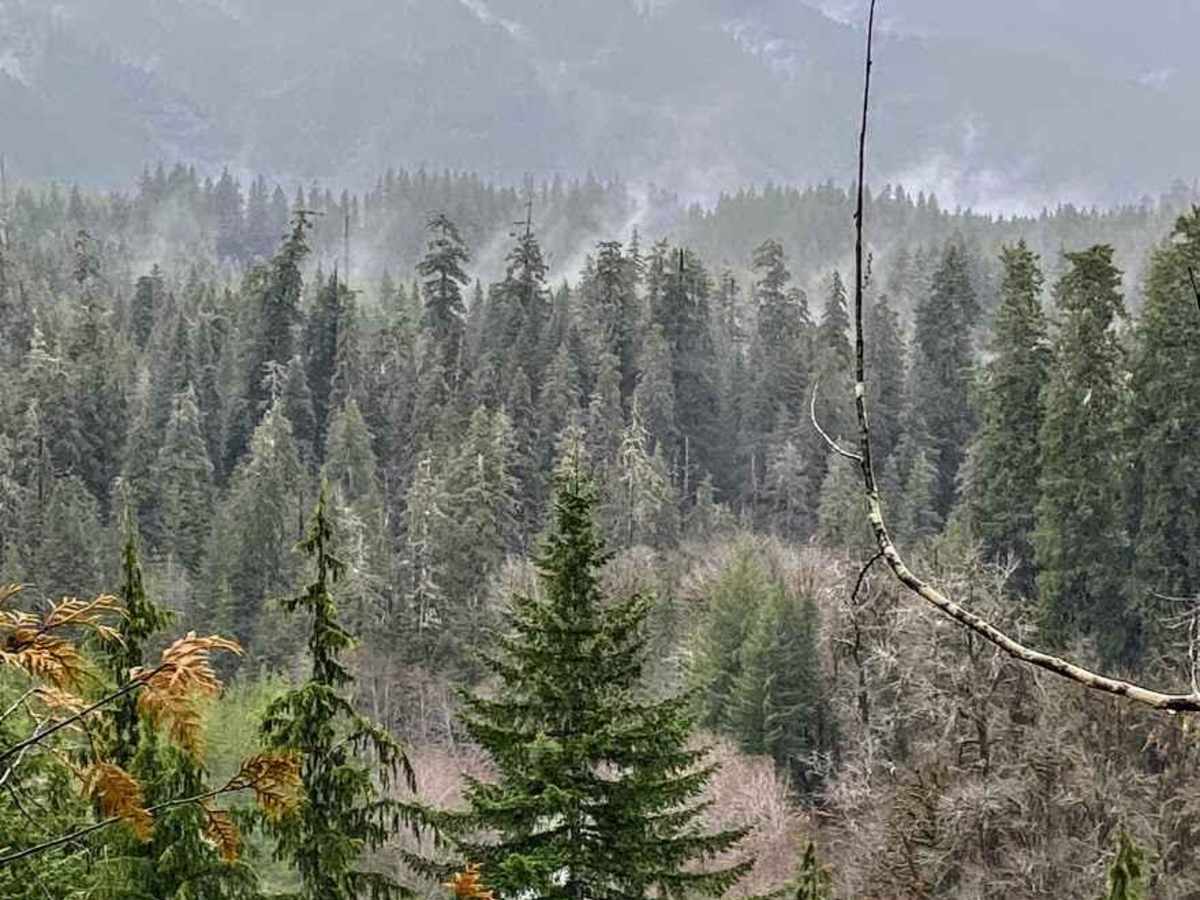 Donkey Creek Cutoff trail photo