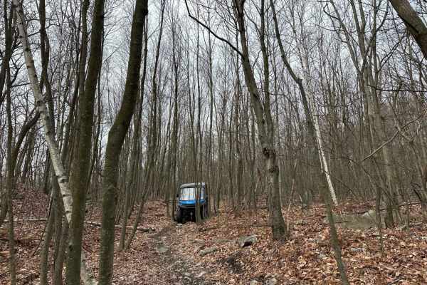 Locust Gap 53