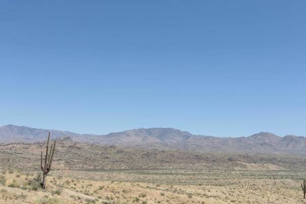 Beeline Bypass