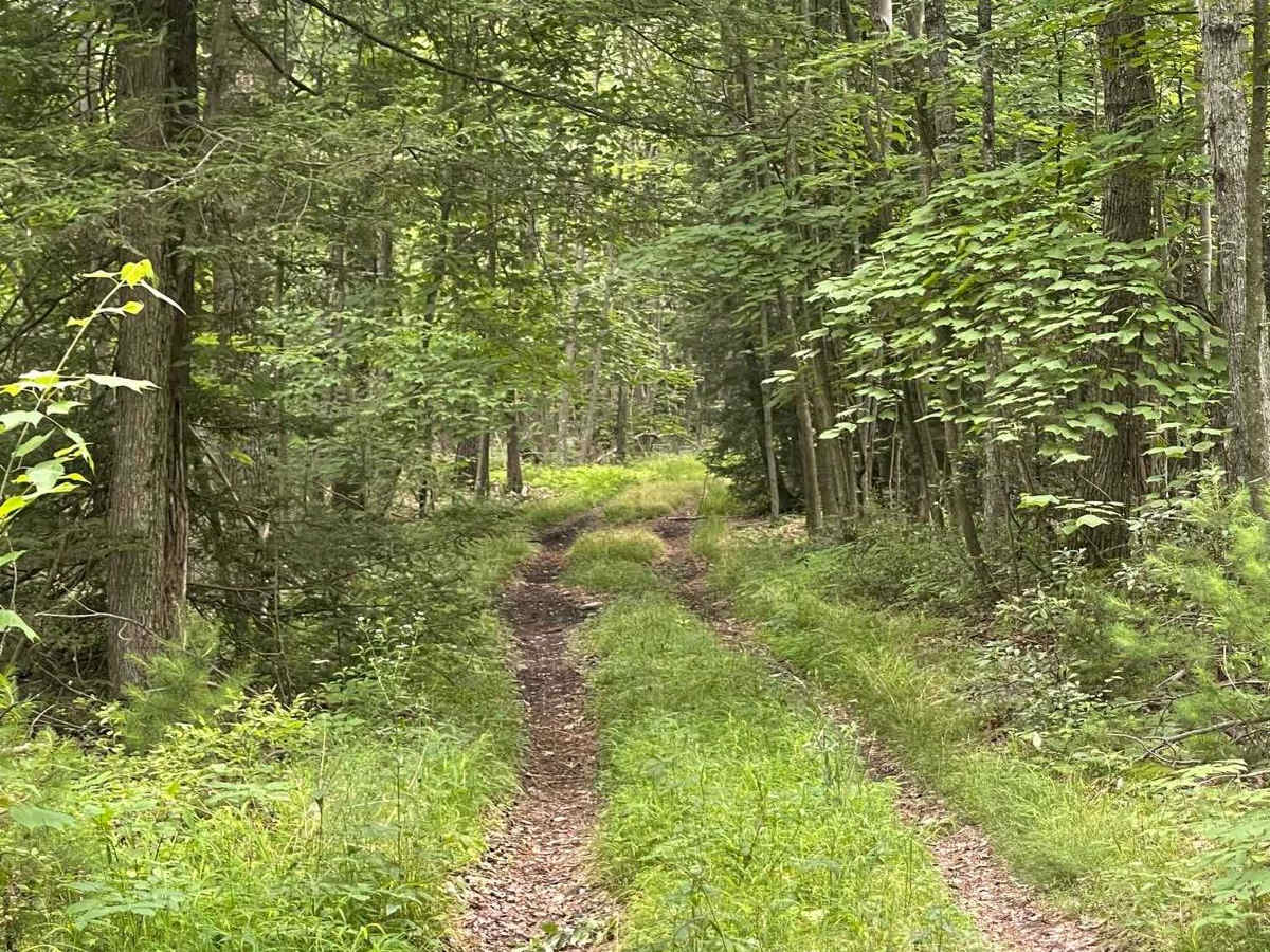 Sand Spring Road photo 6
