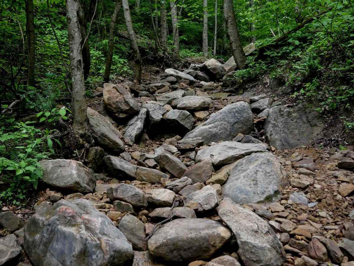 B78 trail photo