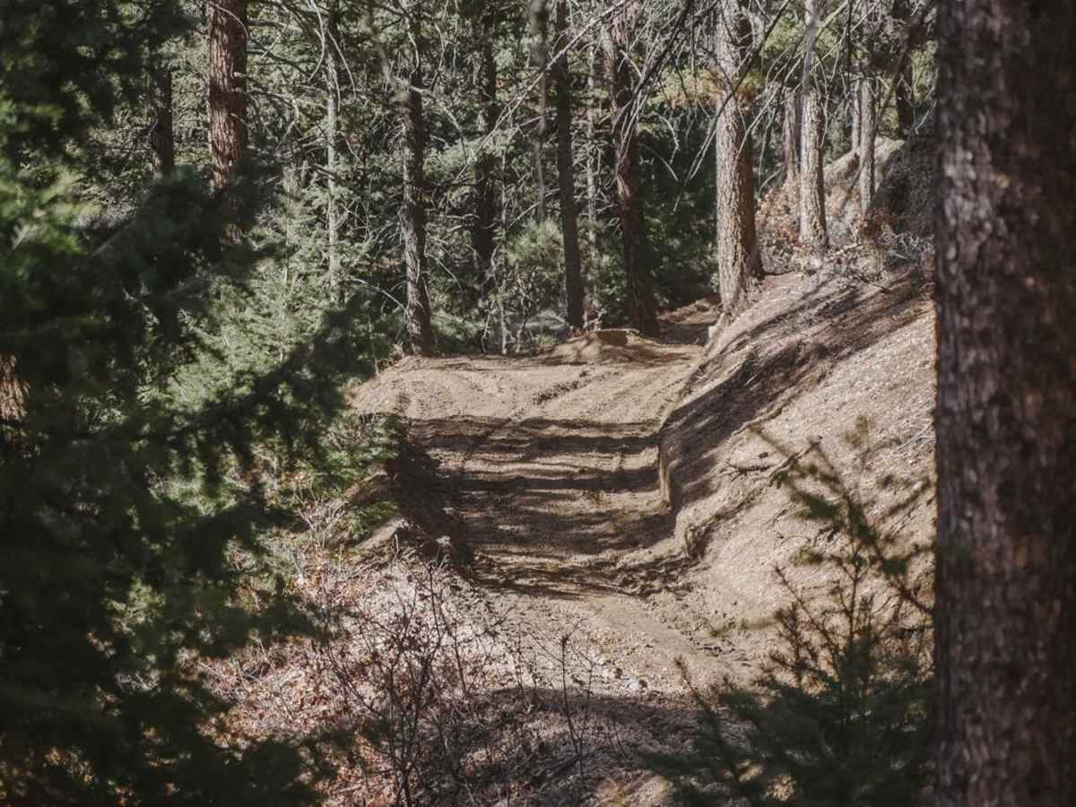 788 ATV Trail photo 4