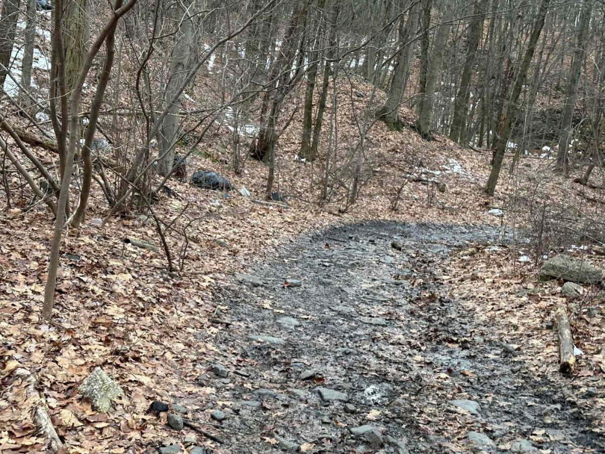 Ashland 87 photo 2