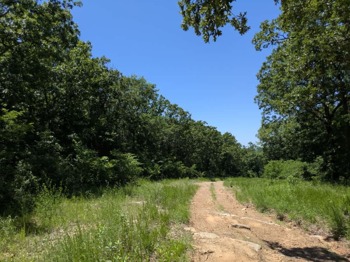 Persimmon Ridge trail photo
