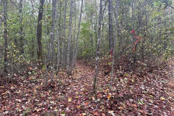 191 Single Track