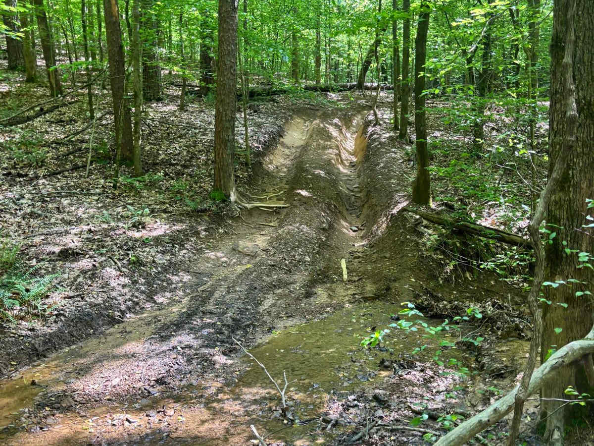 Yeti Bottoms photo 6