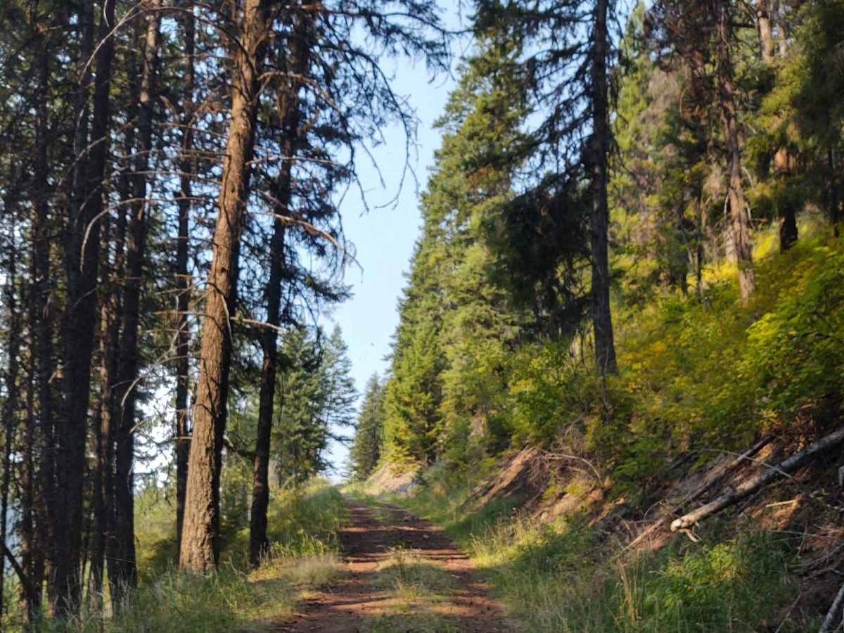 Denver Ridge trail photo