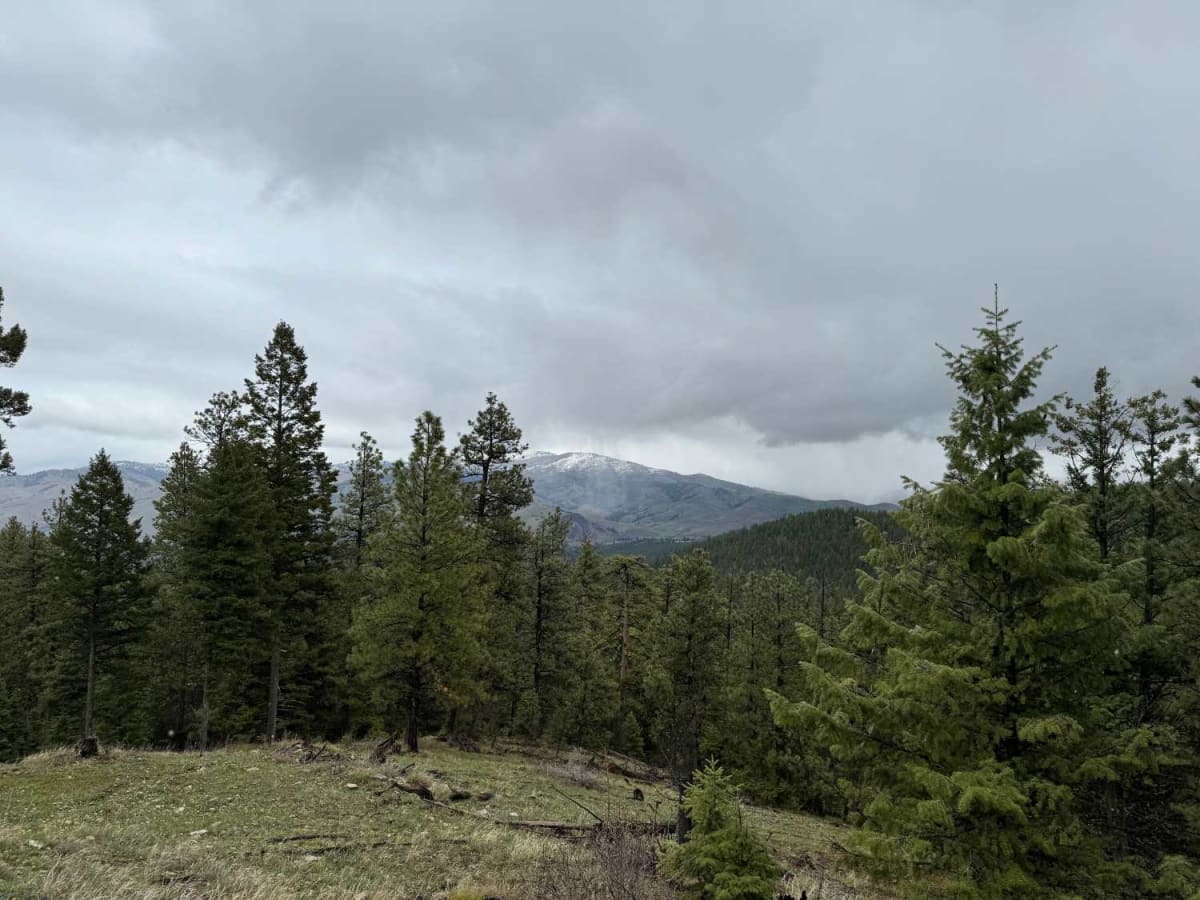 Spoon Creek photo 6