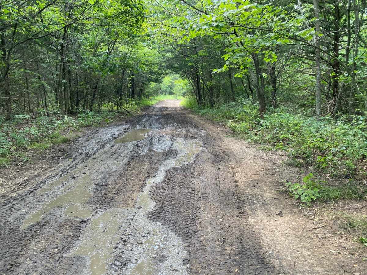 Unpaved Road photo 2