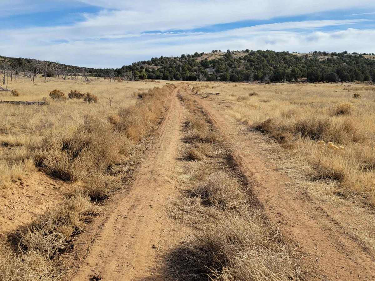 BLM Road 1620 photo 3