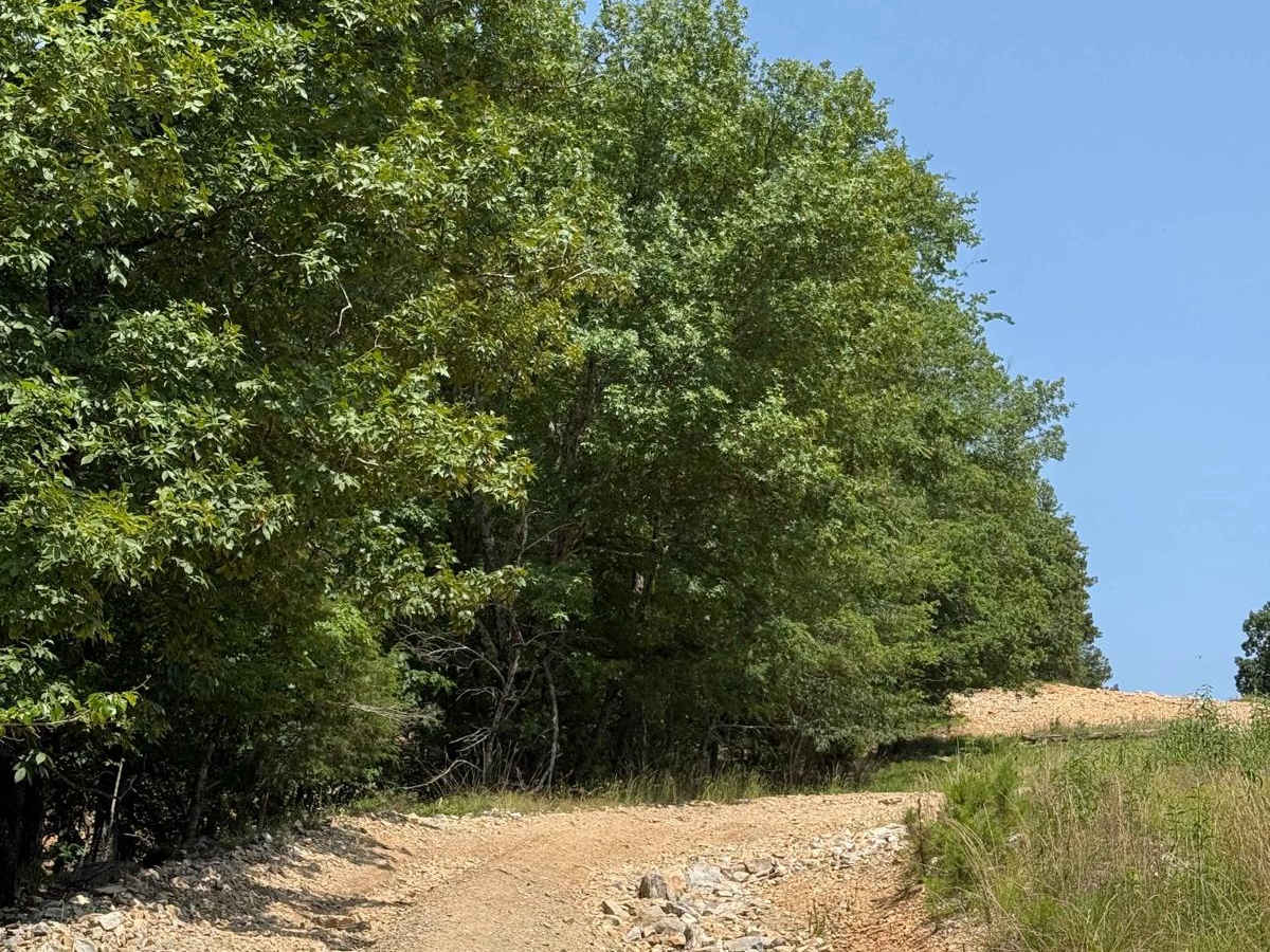 G8/G9 Pipeline photo 4