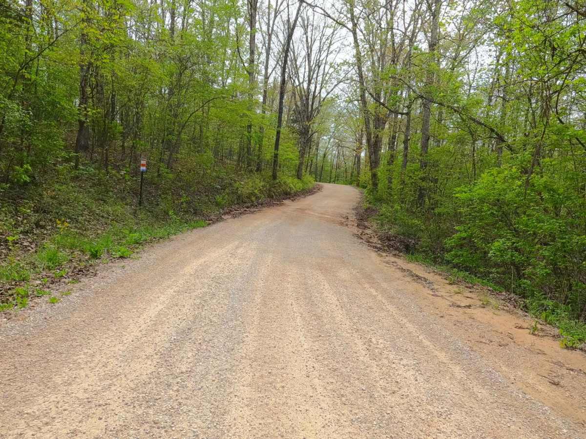 Dillard Mill Road photo 6