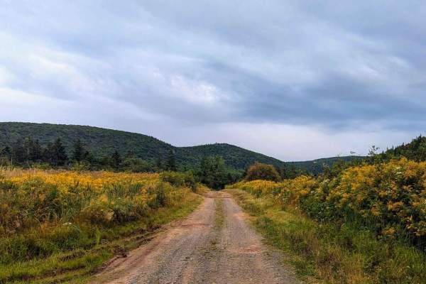 Dunmaglass-McArras Brook Road