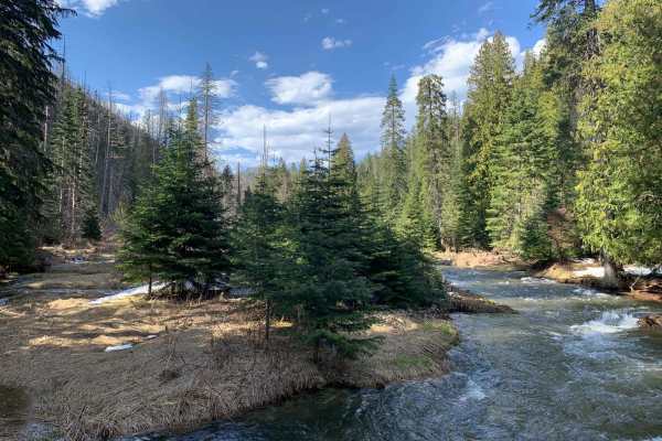 West Fork Eagle Creek (805)