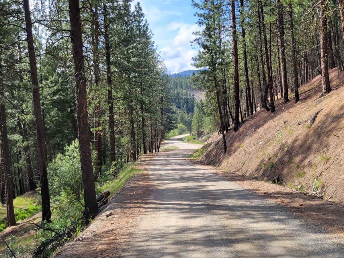 FR 2045 - Loup Loup Canyon Road photo 4