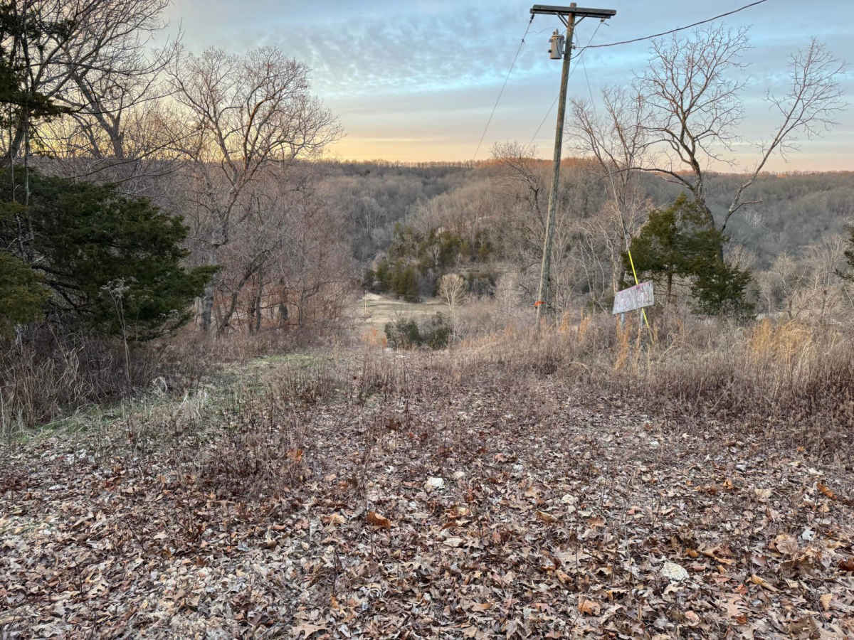 Purple 404 trail photo