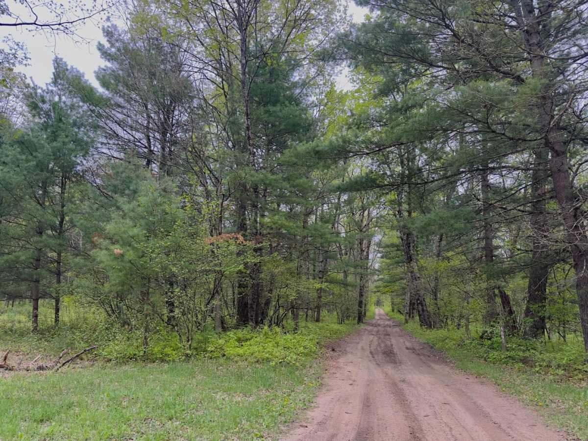 FS 6691 trail photo
