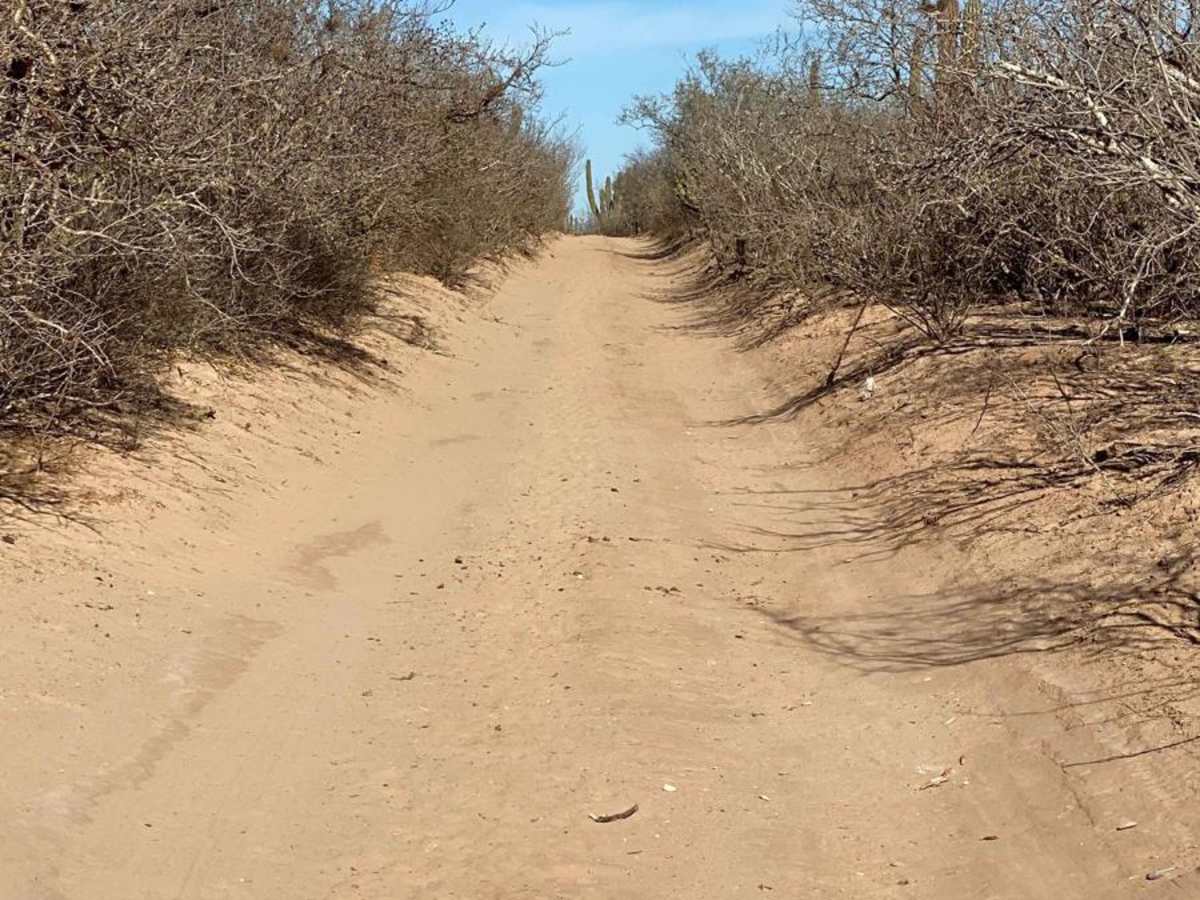 Dos Ranchos Loop photo 2
